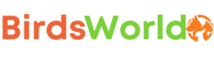 Birds World