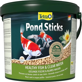 Fish Food